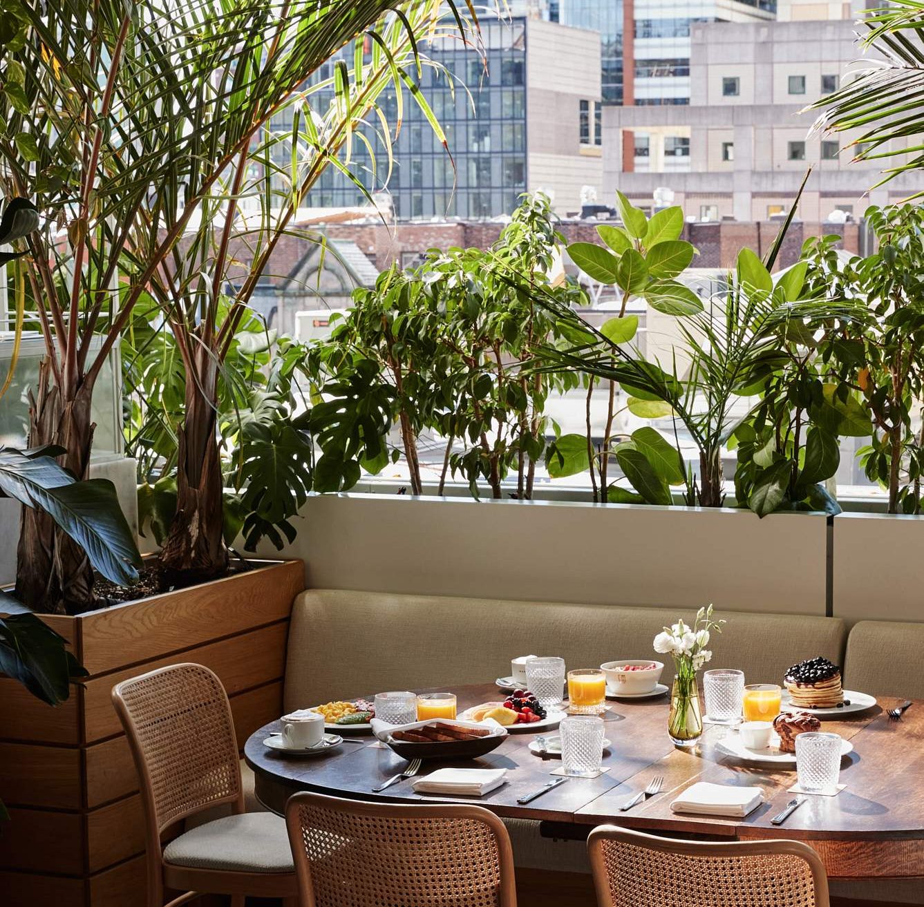 La terrasse du Marcus, un restaurant à Montréal. Elle est bordée de plantes avec une table sur laquelle sont déposés des plats et des boissons. Le centre-ville est en arrière-plan.