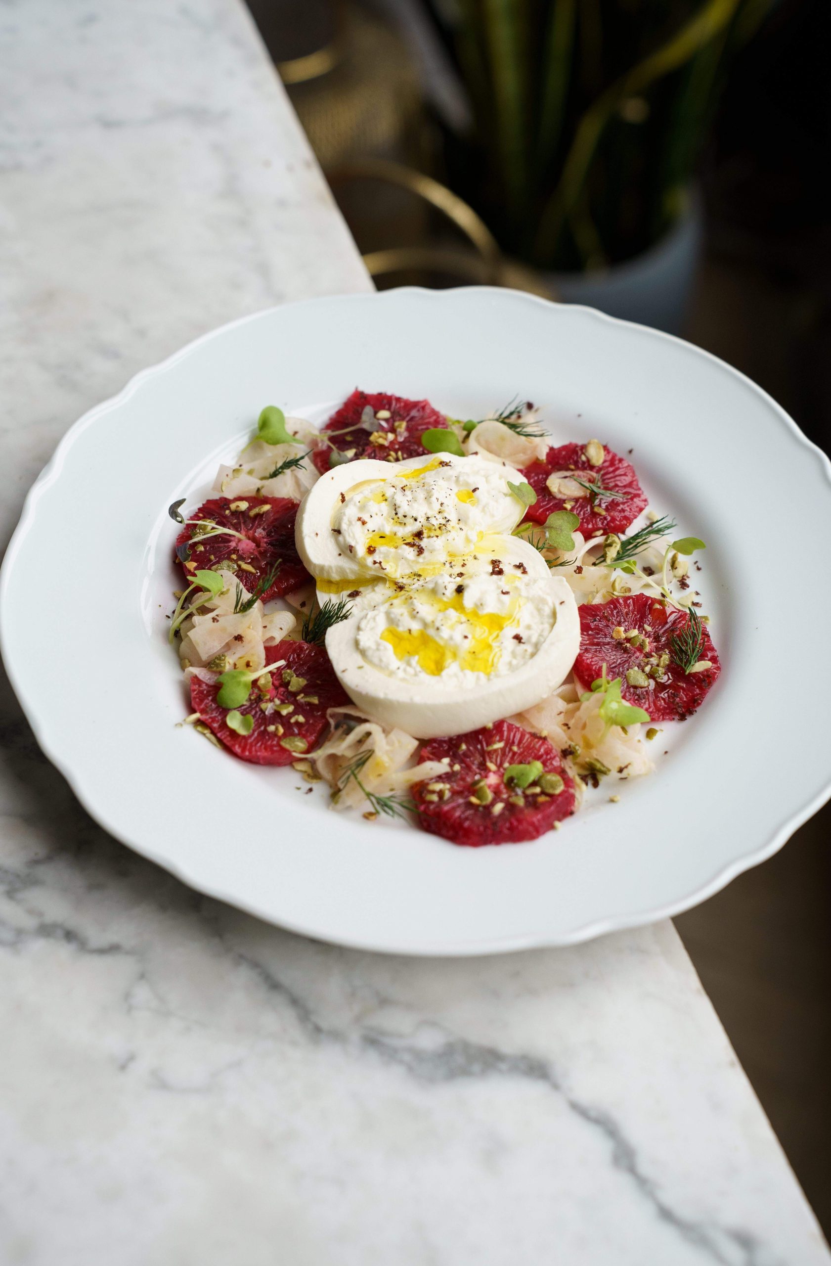 A white plate containing a burrata with olive oil and pepper, surrounded by vegetables and accompaniments.