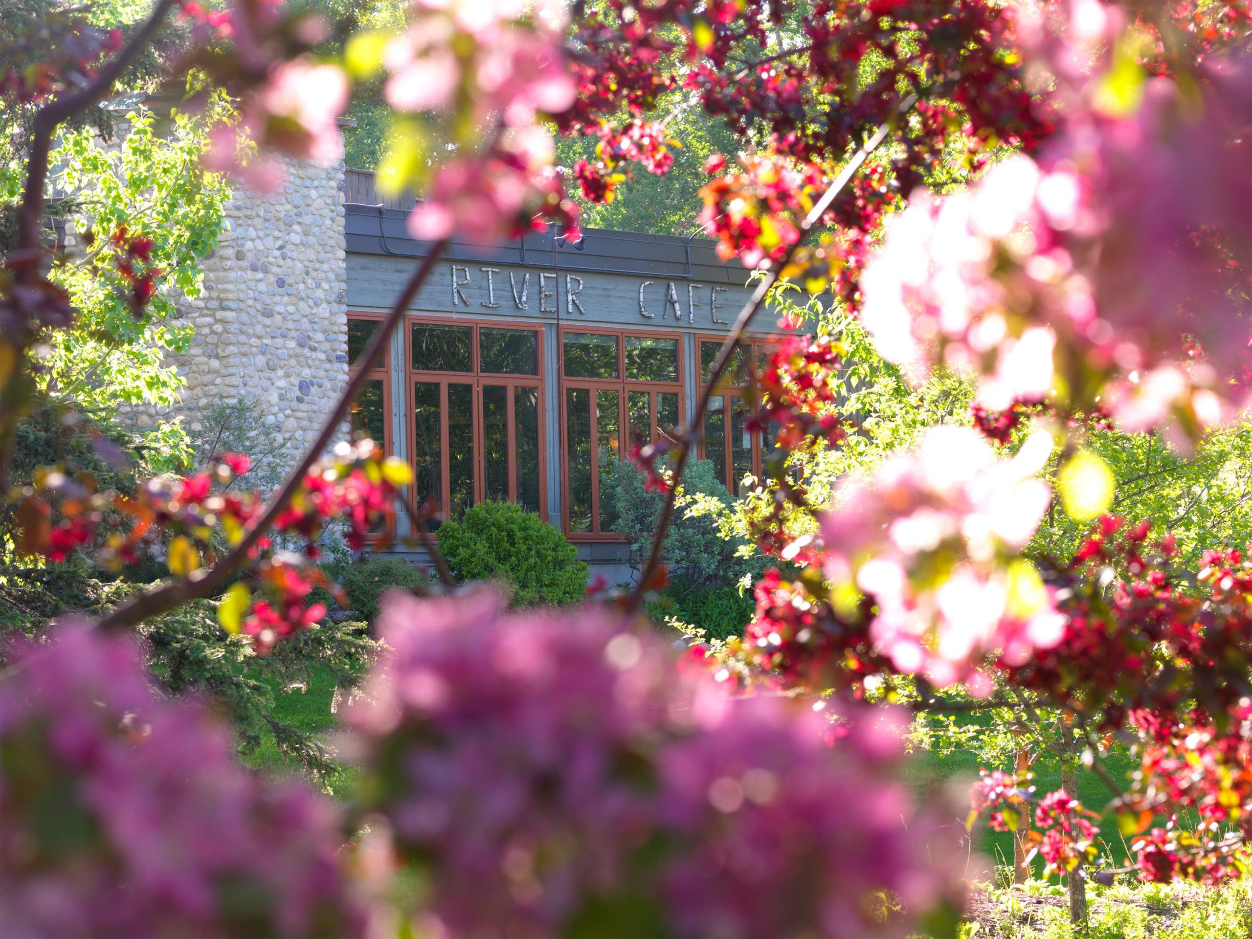 Exterior of eco-friendly restaurant River Café in Calgary with a host of trees and red and pink flowers in the foreground.