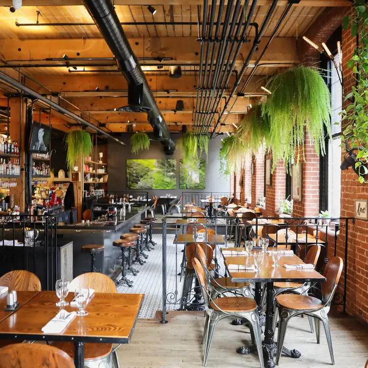 Intérieur en bois avec plantes suspendues au Marché Italien Le Richmond, l'un des meilleurs restaurants pour le brunch à Montréal.