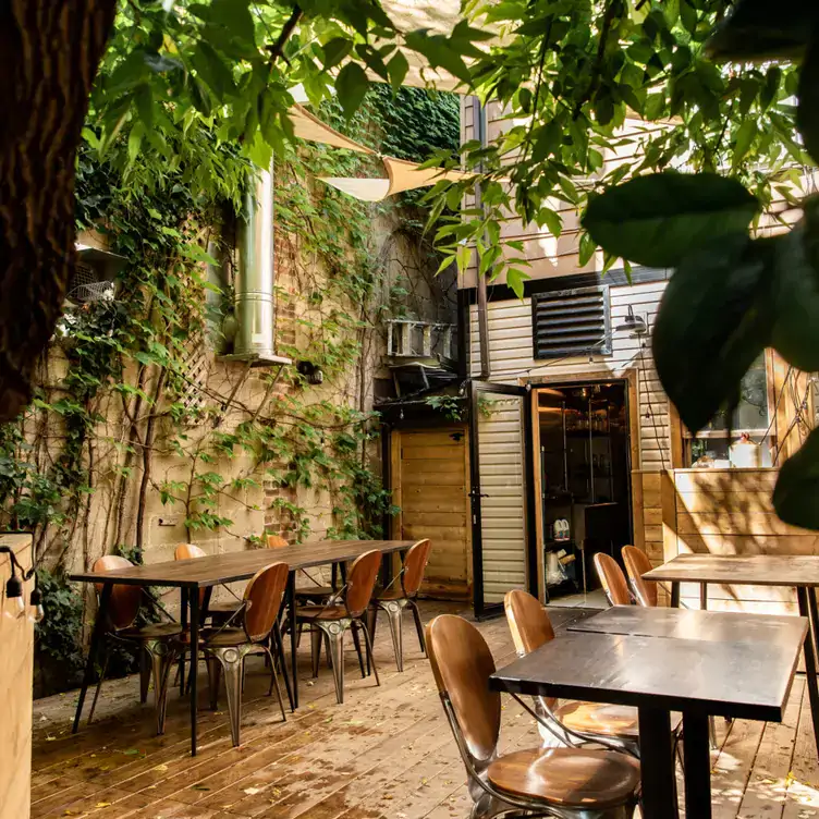 A sunny, plant-filled back patio at Hawker, one of the best outdoor restaurants in Toronto