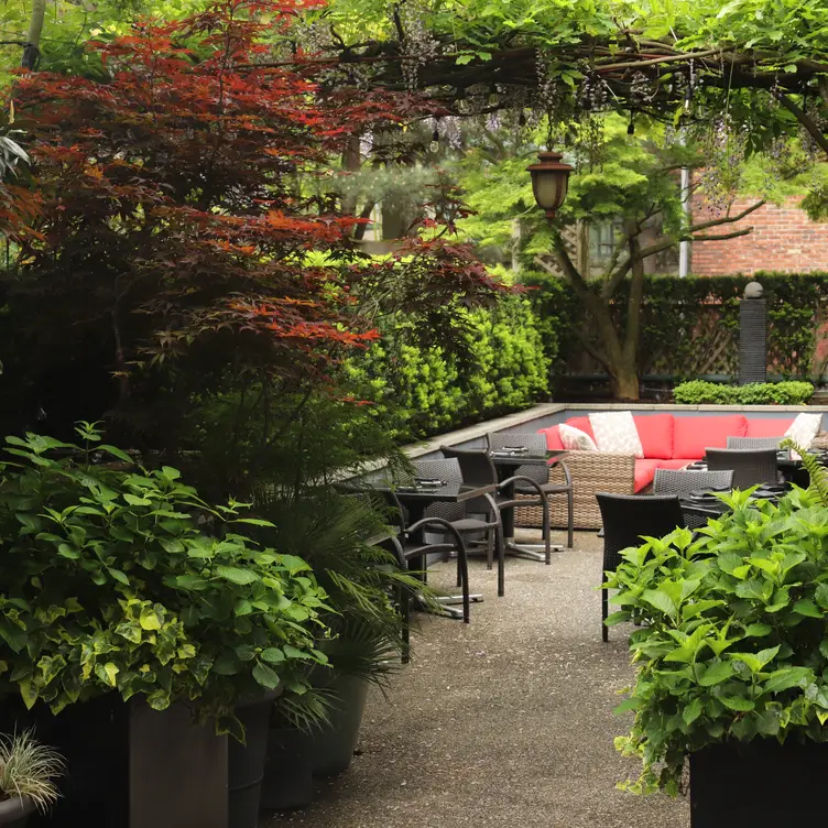 The luscious greenery that surrounds Minami’s patio dining area.