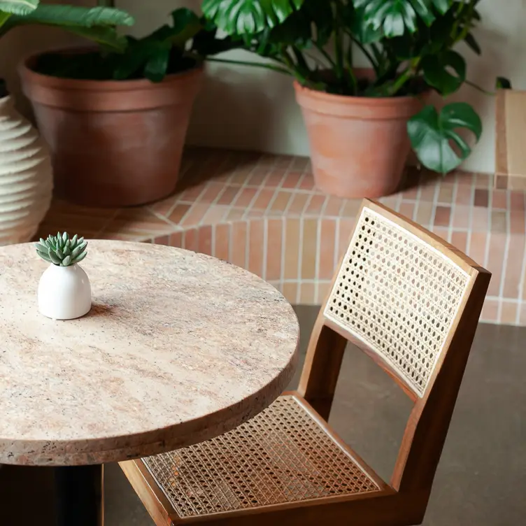 A soft-colored table and chair sit next to bright botanical greenery at Sorella, one of the best Italian restaurants in Calgary.