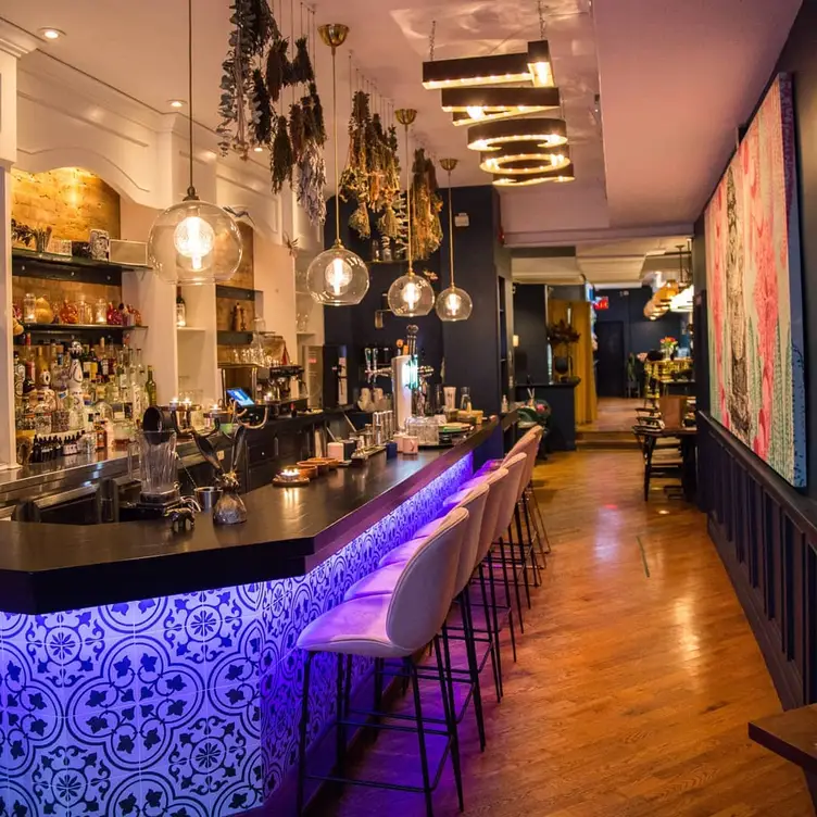 The bar area at La Bartola, one of Toronto's best vegan restaurants. Credit: La Bartola