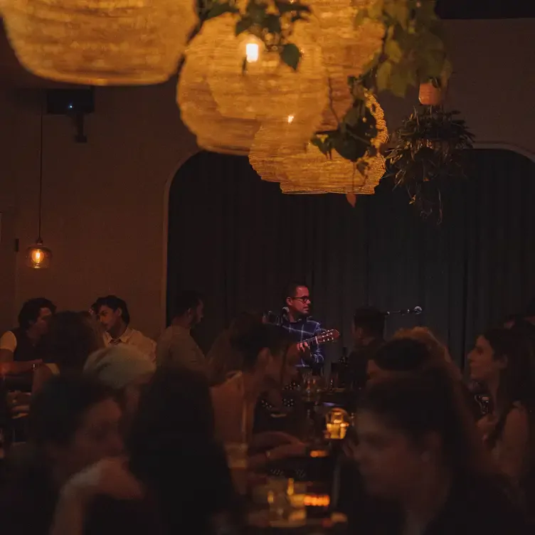 Live music and intimate lighting at the Flamingo Room, possibly the best new restaurant in Vancouver.