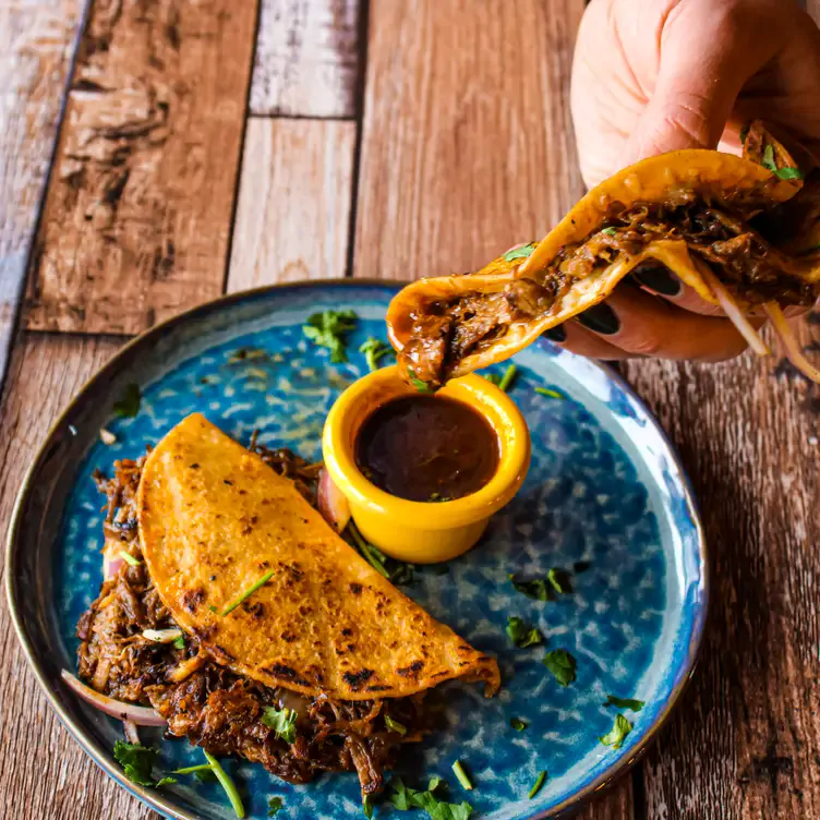 Shredded birria beef melts in a fresh corn tortilla at Chula Taberna Mexicana, one of the best Mexican restaurants in Toronto.