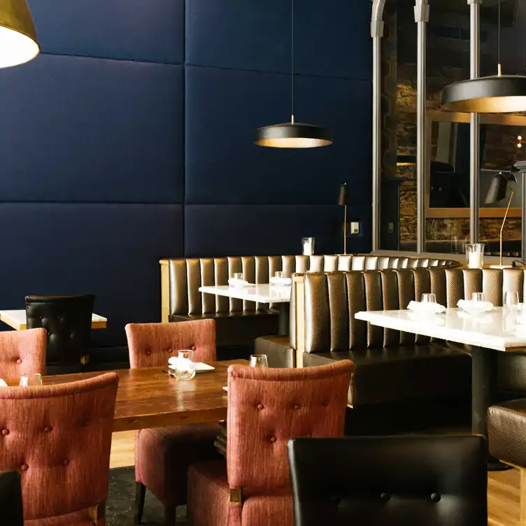 A restaurant room with several tables, banquettes, and armchairs in front of a navy-blue wall from Social, one of the best brunch restaurants in Ottawa.