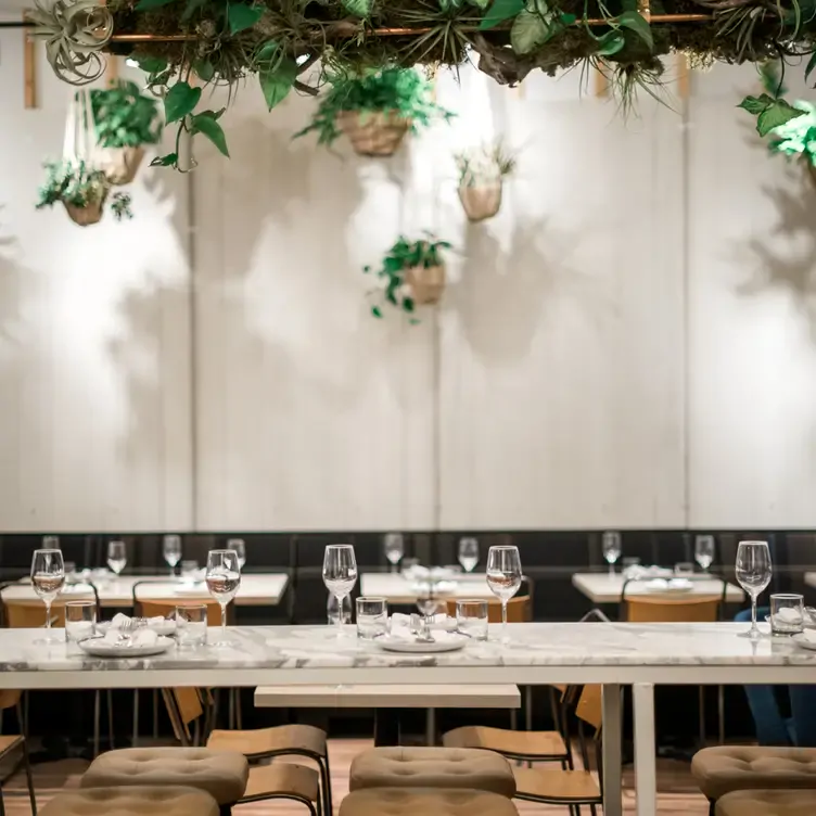 Marble tables under foliage at Ten Foot Henry, one of the best brunch spots in Calgary.