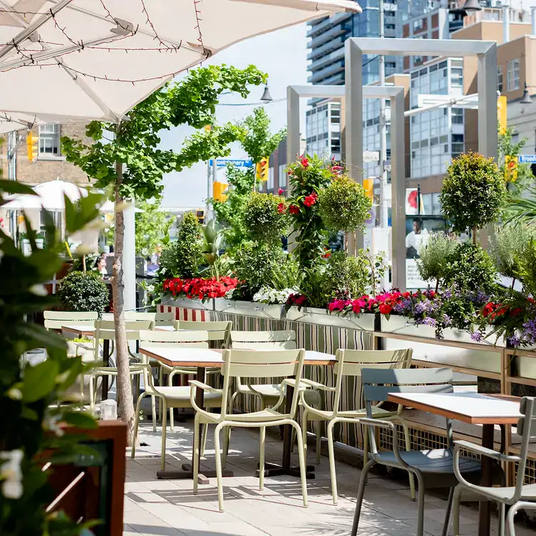 The rooftop patio with plant life at Stock Bar, one of the best rooftop restaurants in Toronto.