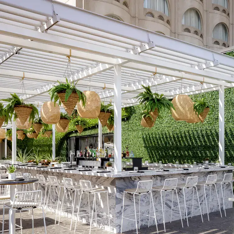 A bright terrace with hanging plants at one of the best rooftop restaurants in Montreal.