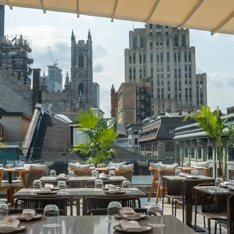 Une terrasse ensoleillée avec une vue de la ville à la Terrasse Nelligan, l’un des meilleurs restaurants sur le toit à Montréal.