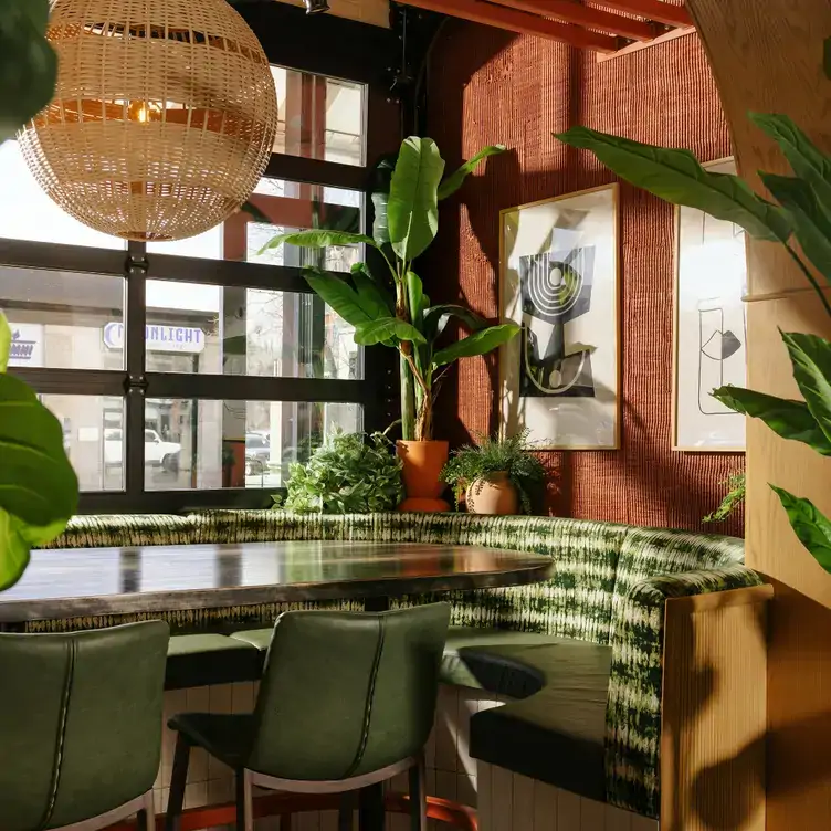 A large table with booth-style seating next to the window with surrounding plants and modern art on the walls at Porch, one of the best restaurants in Calgary.